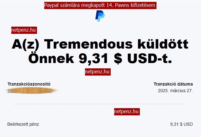 Pawns Payment
